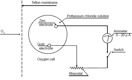 oxygen-analyser 